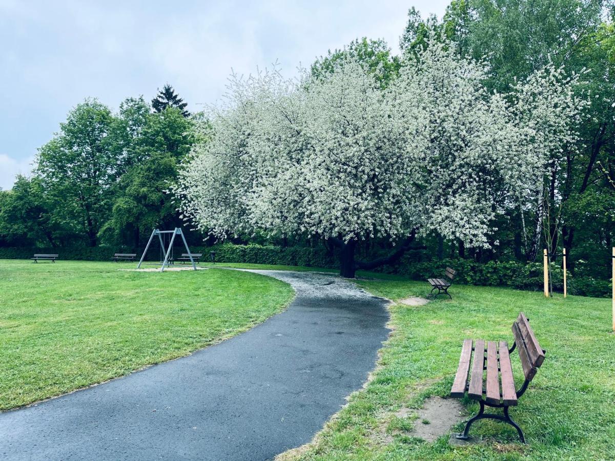 Apartamenty Lemon Pepper Jelenia Góra Exteriör bild