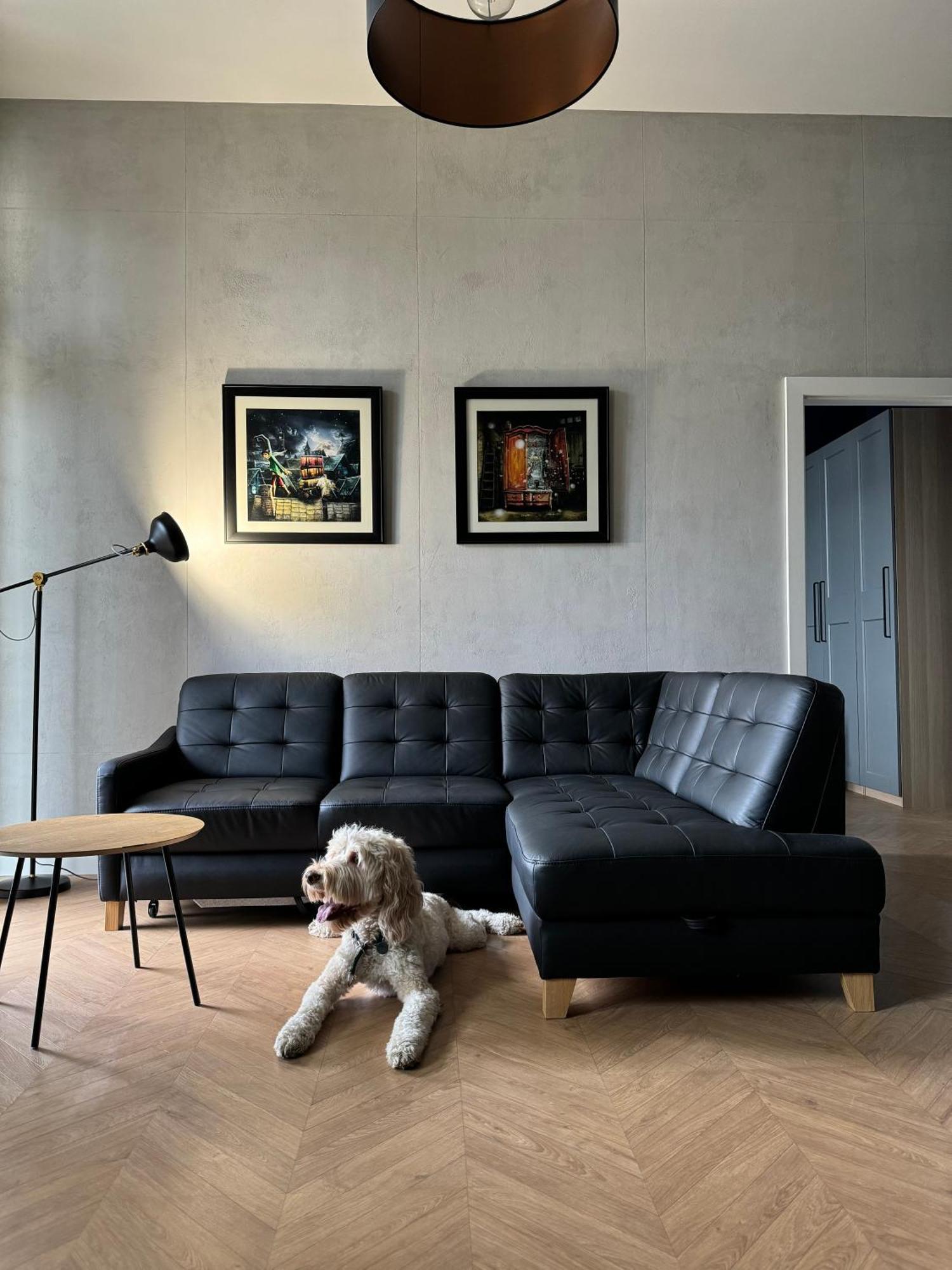 Apartamenty Lemon Pepper Jelenia Góra Exteriör bild